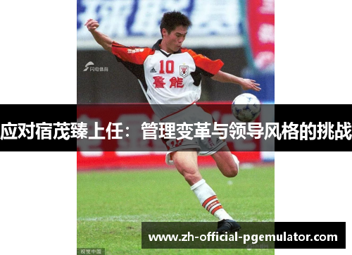 应对宿茂臻上任：管理变革与领导风格的挑战