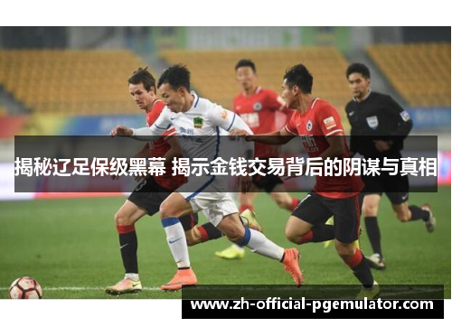 揭秘辽足保级黑幕 揭示金钱交易背后的阴谋与真相