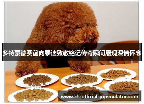 多特蒙德赛前向泰迪致敬铭记传奇瞬间展现深情怀念