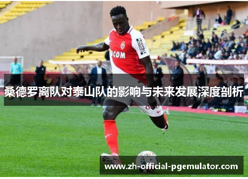 桑德罗离队对泰山队的影响与未来发展深度剖析