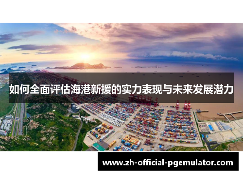 如何全面评估海港新援的实力表现与未来发展潜力