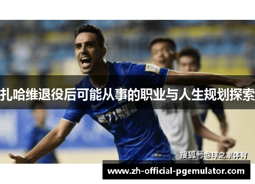 扎哈维退役后可能从事的职业与人生规划探索