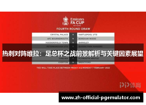 热刺对阵维拉：足总杯之战前景解析与关键因素展望