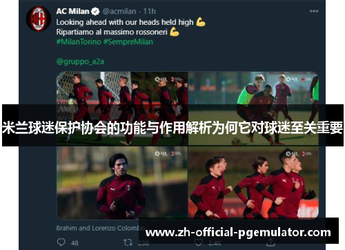 米兰球迷保护协会的功能与作用解析为何它对球迷至关重要