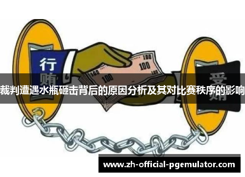 裁判遭遇水瓶砸击背后的原因分析及其对比赛秩序的影响