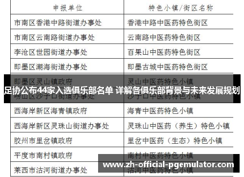 足协公布44家入选俱乐部名单 详解各俱乐部背景与未来发展规划