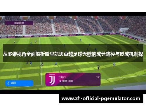 从多维视角全面解析哈里凯恩卓越足球天赋的成长路径与形成机制探
