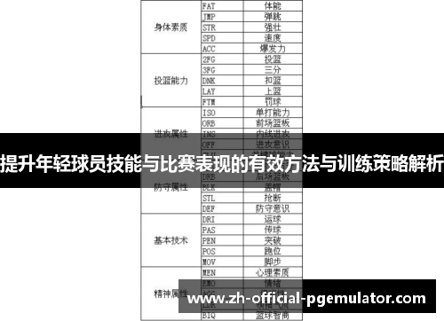 提升年轻球员技能与比赛表现的有效方法与训练策略解析 提升年轻球员技能与比赛表现的有效方法与训练策略解析