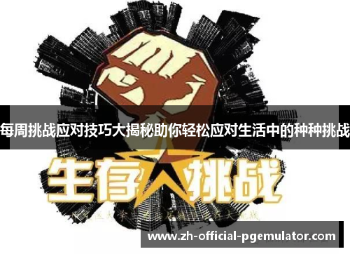 每周挑战应对技巧大揭秘助你轻松应对生活中的种种挑战 每周挑战应对技巧大揭秘助你轻松应对生活中的种种挑战