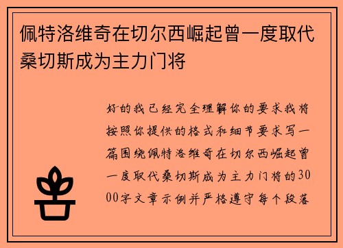 佩特洛维奇在切尔西崛起曾一度取代桑切斯成为主力门将