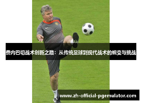 费内巴切战术创新之路：从传统足球到现代战术的蜕变与挑战