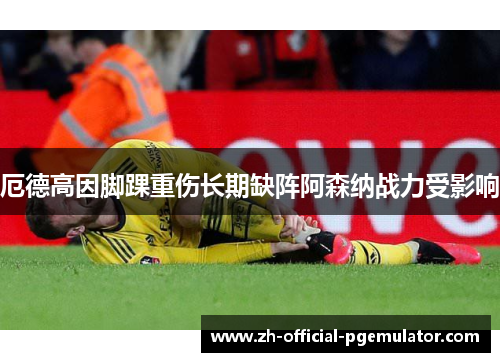 厄德高因脚踝重伤长期缺阵阿森纳战力受影响 厄德高因脚踝重伤长期缺阵阿森纳战力受影响